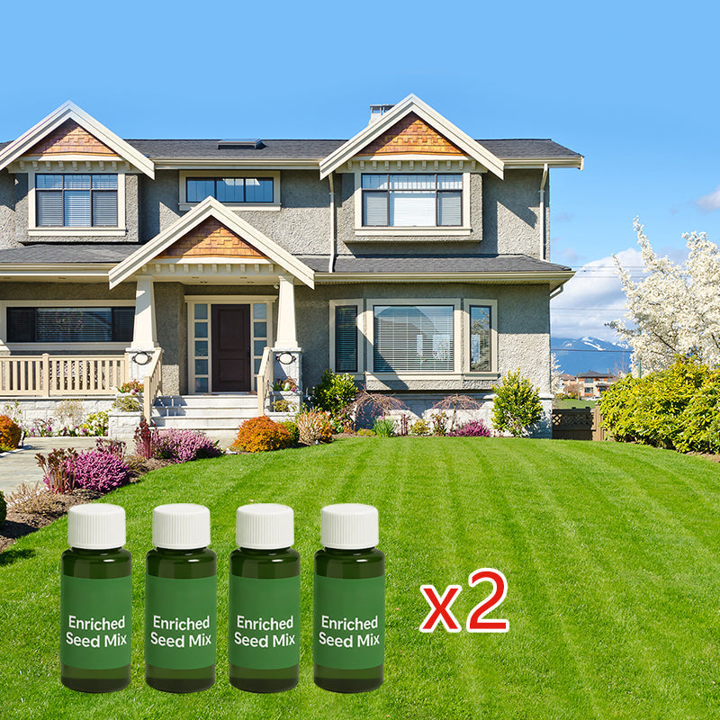 Hydro Seeding Lawn Solution